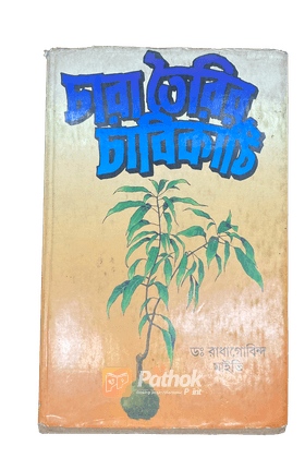 চারা তৈরির চাবিকাঠি