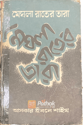 মেঘলা রাতের তারা