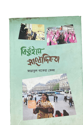 বিভুঁইয়ে সাংবাদিকতা