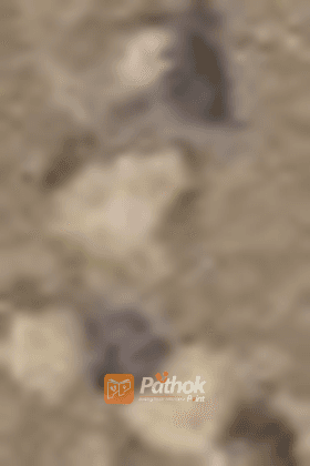 দূরে যাওয়া কাছে পাওয়ার গল্প