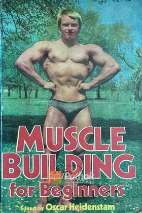 Muscle Building for Beginners