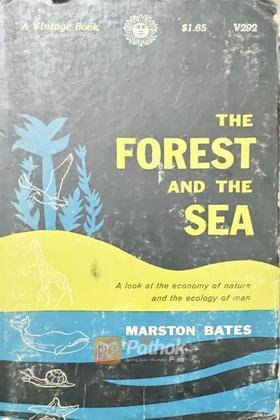 The Forest And The Sea