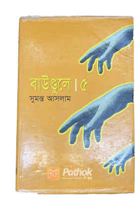 বাউন্ডুলে ৫